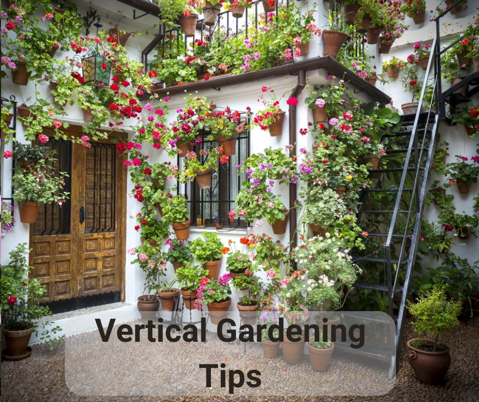 Exterior of Spanish hacienda with potted plants attached to the walls.
