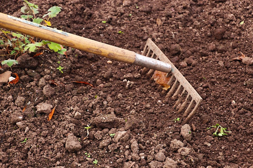 A rake in soil