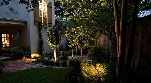 Lighten Up! What We Need to Know About Landscape Lighting
