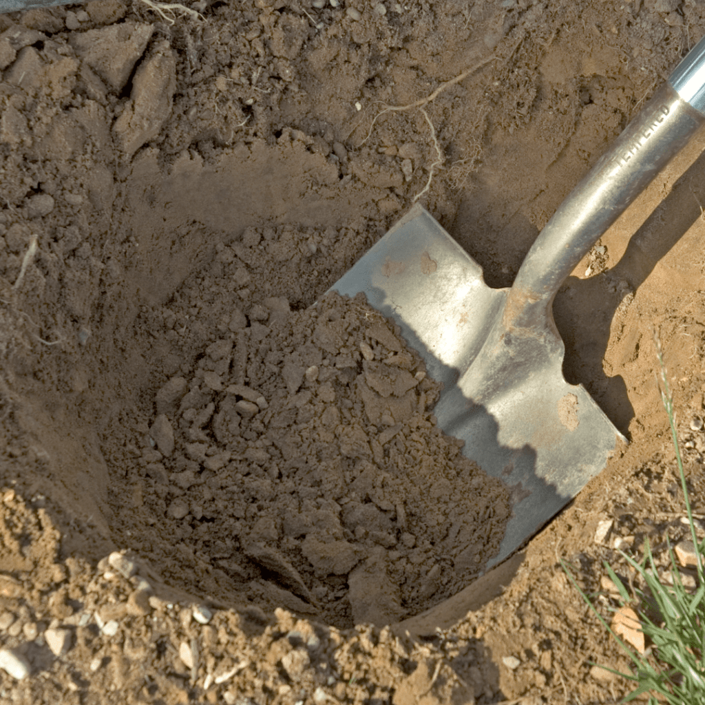 closeup of a planting hole with a shovel inside