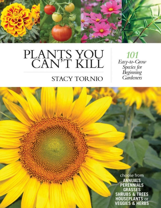 plants-you-cant-kill-gardenologist