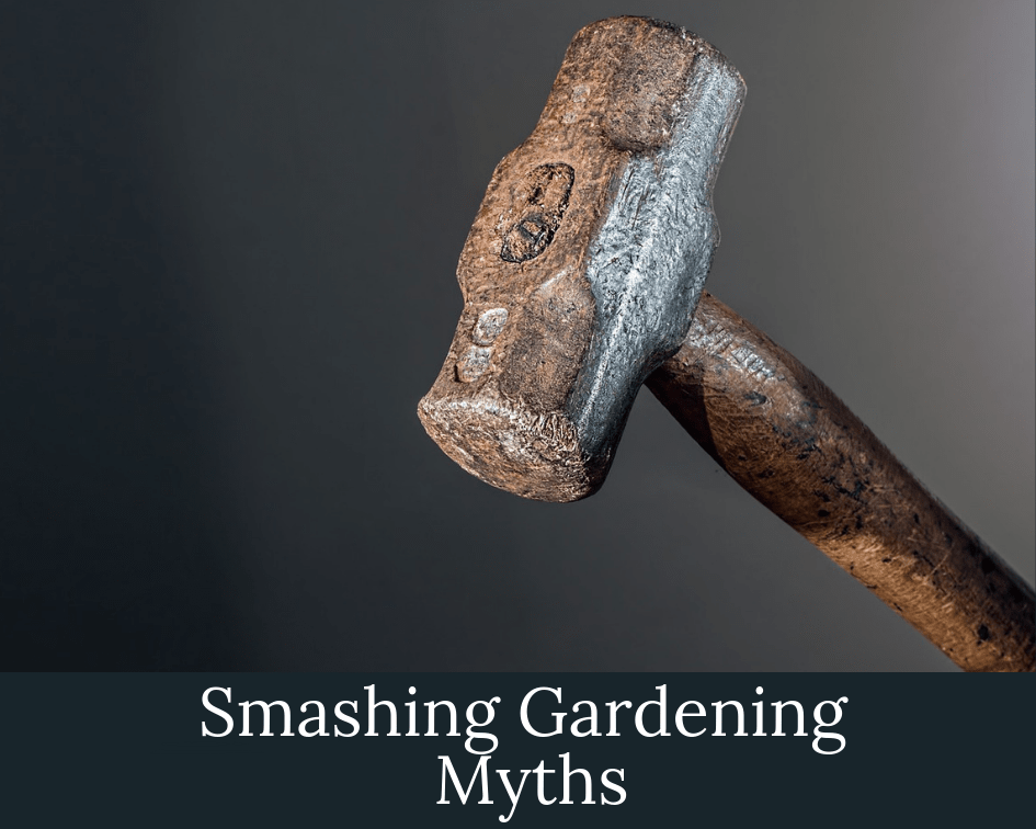 Epsom salts, vinegar and mist, oh my! Let’s smash some gardening myths