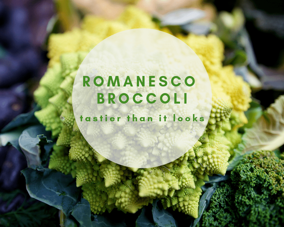 Closeup of a head of romanesco broccoli