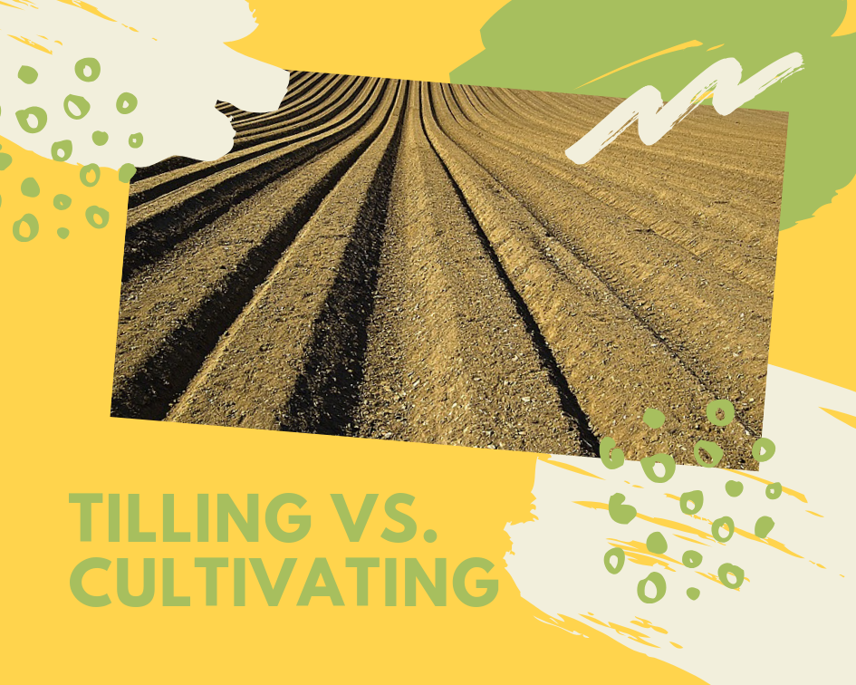 Tiller vs. Cultivator