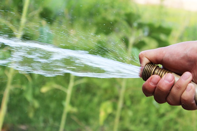 man's hand holding the end of a garden hose with water squirting out