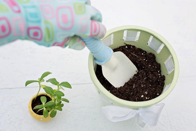 gloved hand shoveling soil into a planting pot