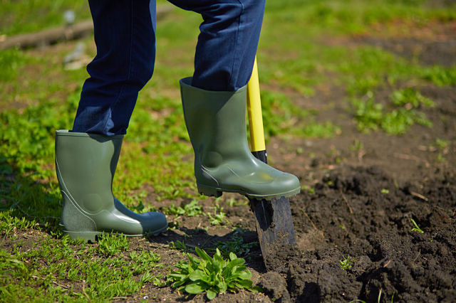 feet with green boots on a yellow-handled shovel in the soil