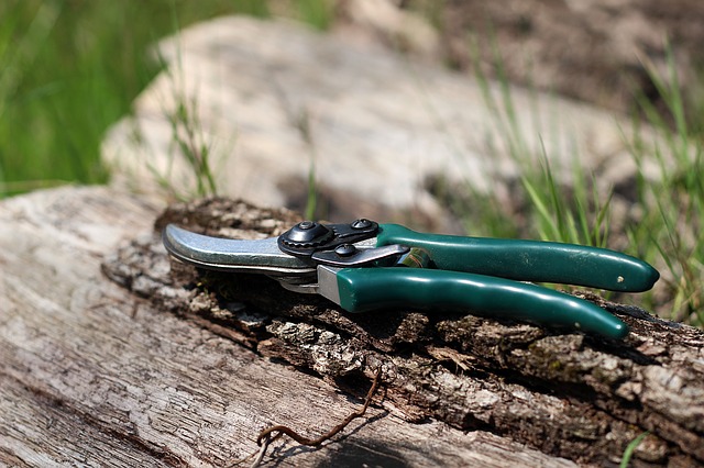 pruning shears with green handles on a log