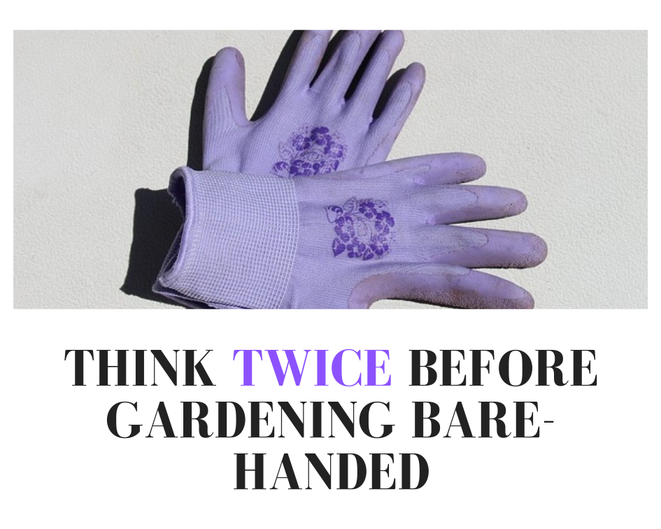 Gardening Gloves, Why Wear Gloves When Gardening