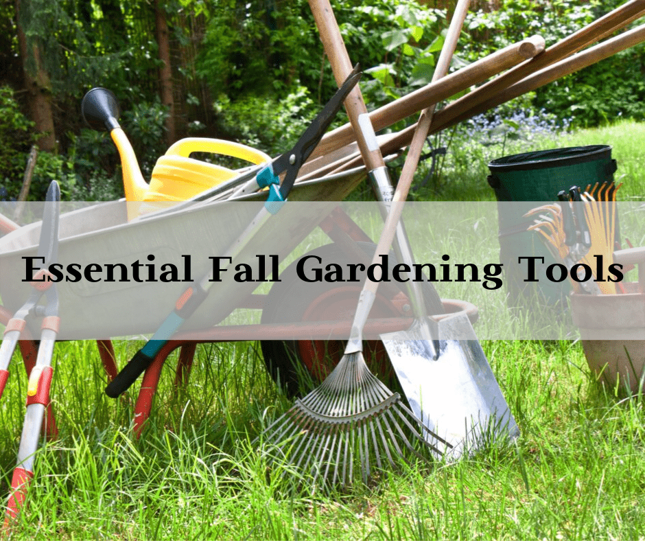 Essential Fall Gardening Tools