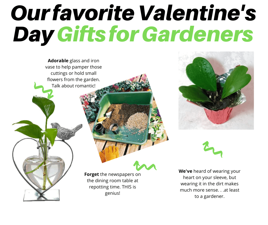 Gift Ideas for Gardeners: Show the Love this Valentine’s Day