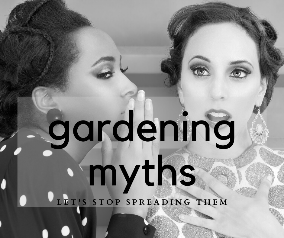 Another day, another couple of gardening myths to bust