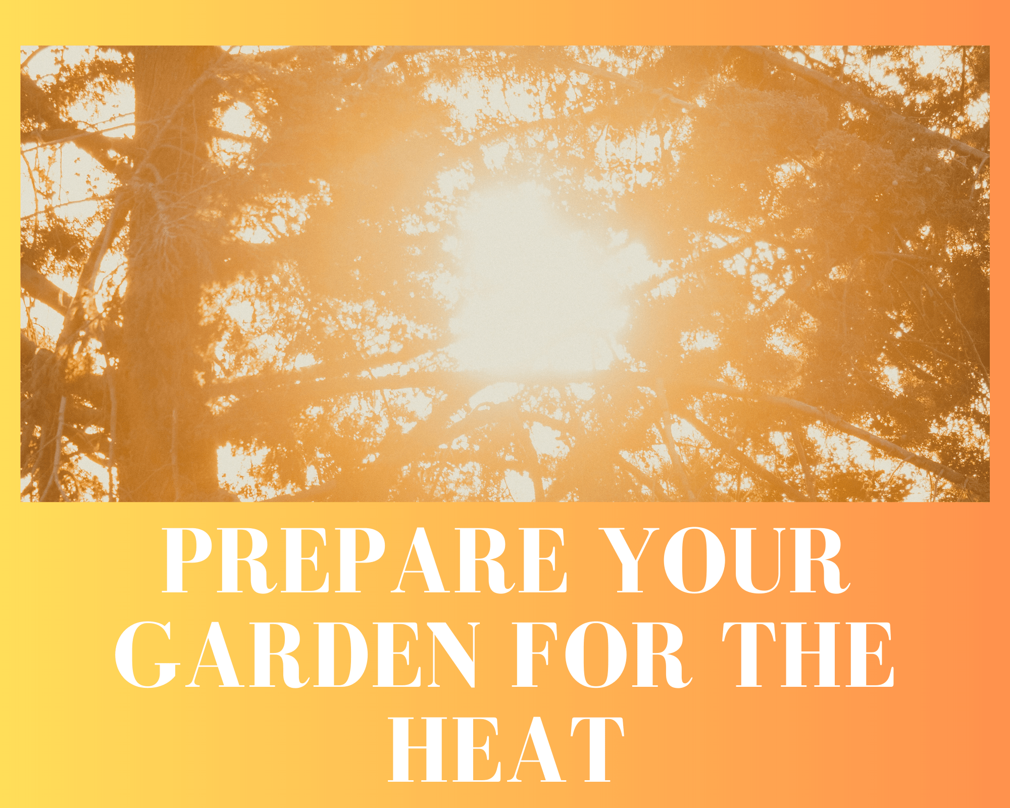 Protect your Garden from Heat