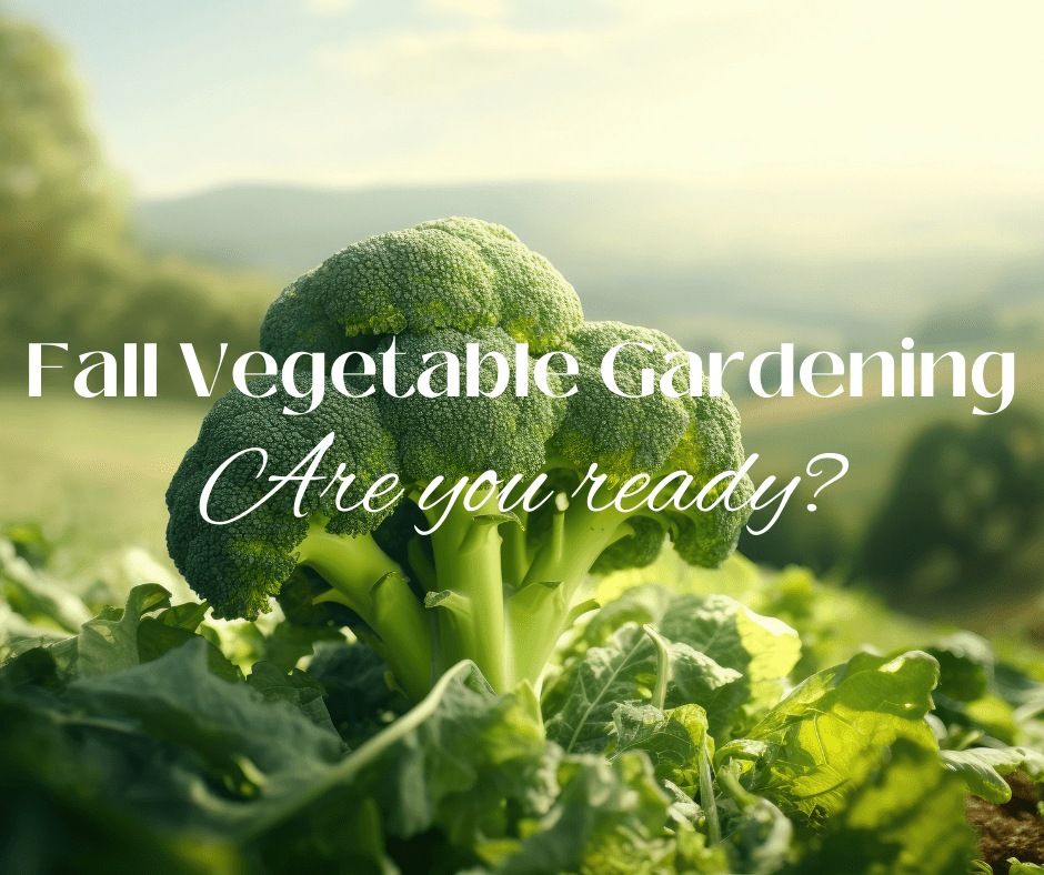 The fall vegetable garden: Are you ready?