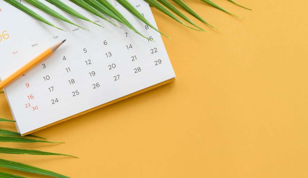 calendar and pencil with part of a palm leaf on a yellow background