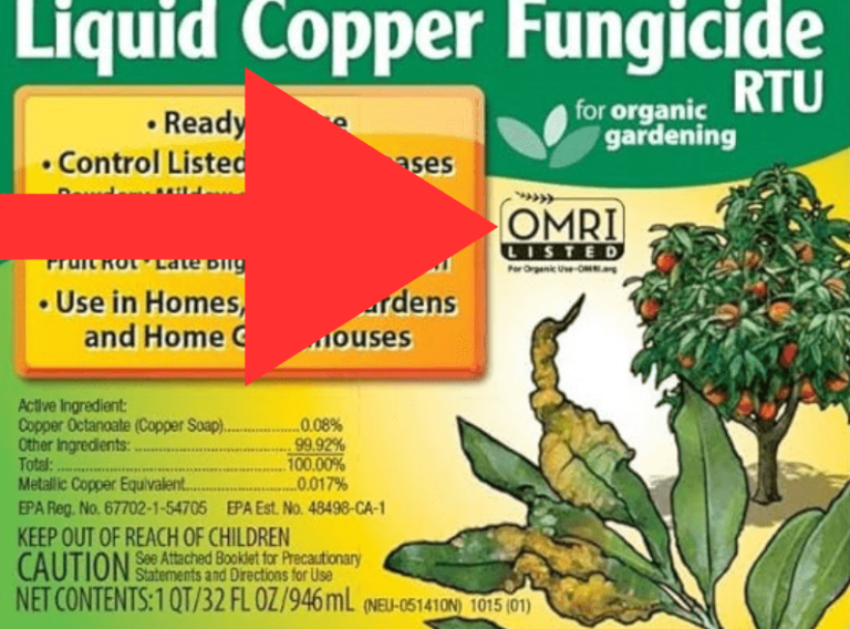 What is Copper Fungicide? How and when to use it Gardenologist