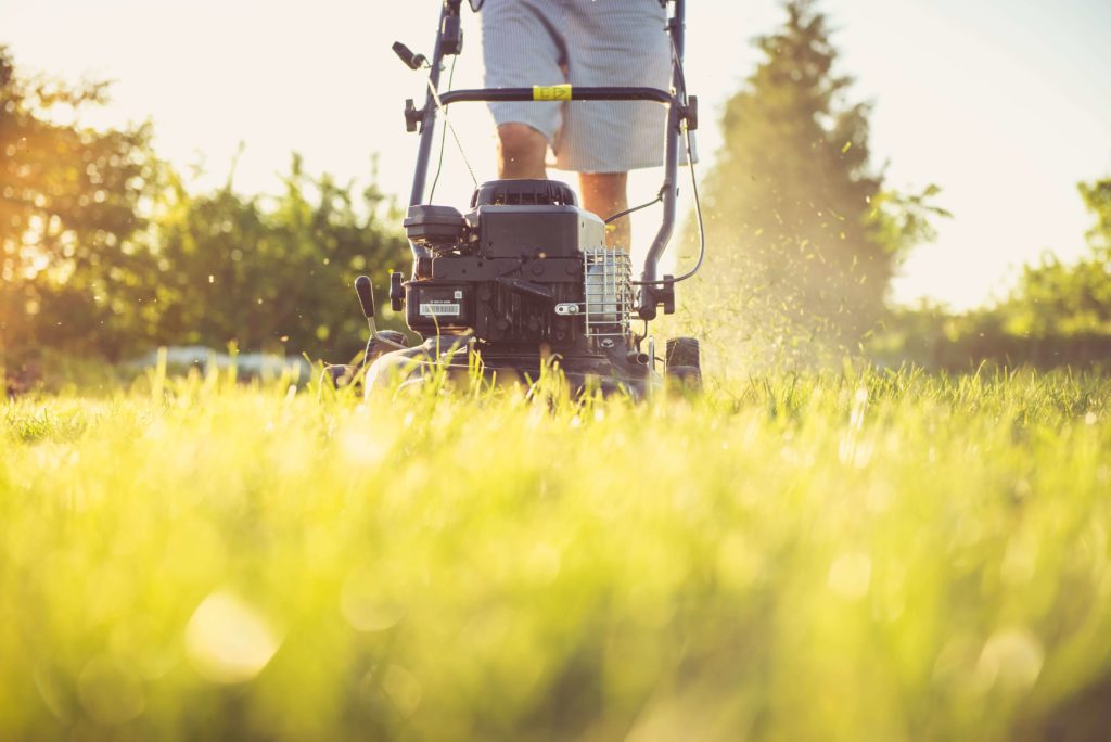person's legs and a lawnmower on yellowish grass